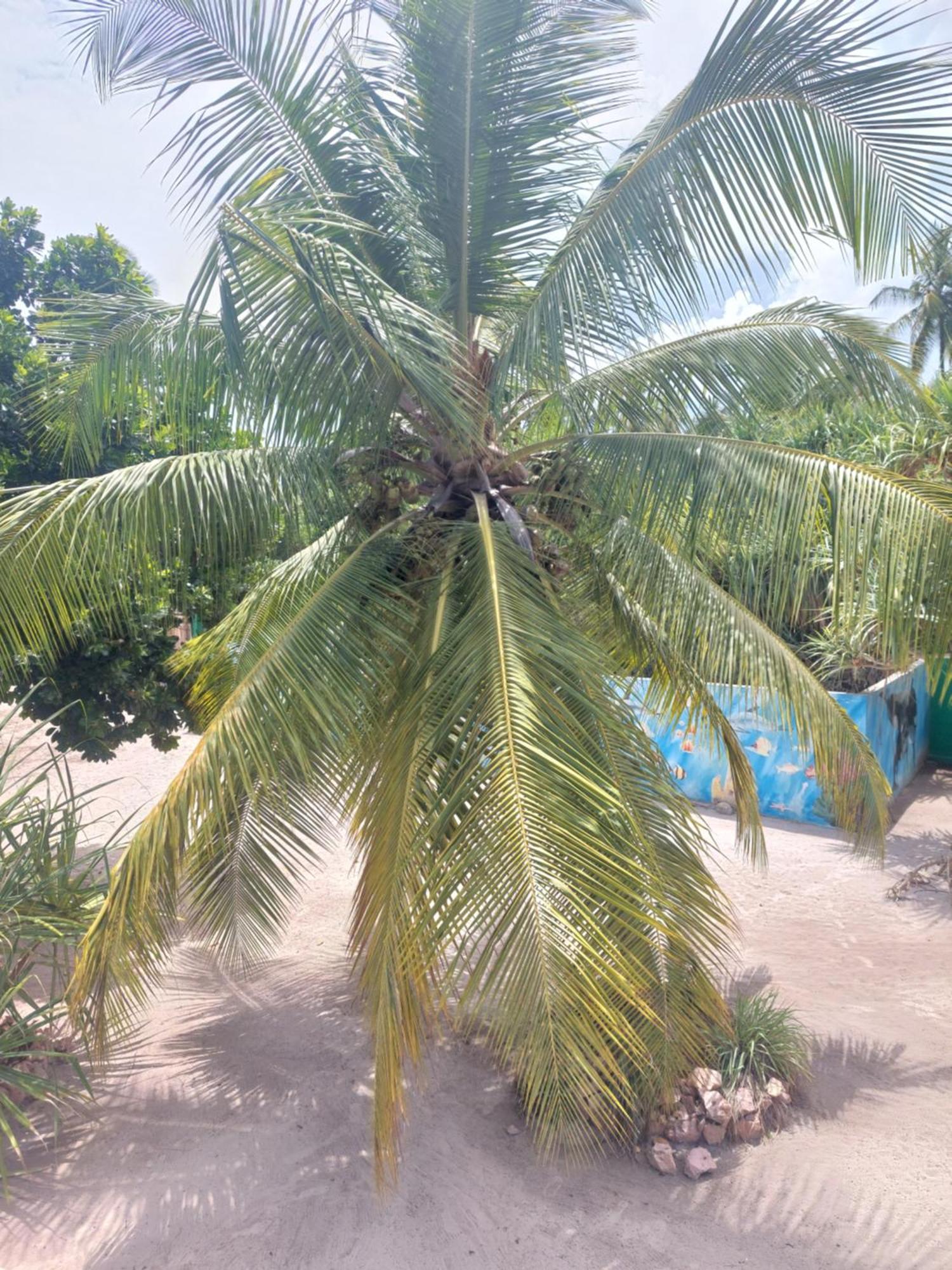Princess Of Zanzibar Michamvi Kae Exterior photo